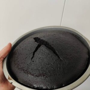 Chocolate cake Layers- Uniced as is